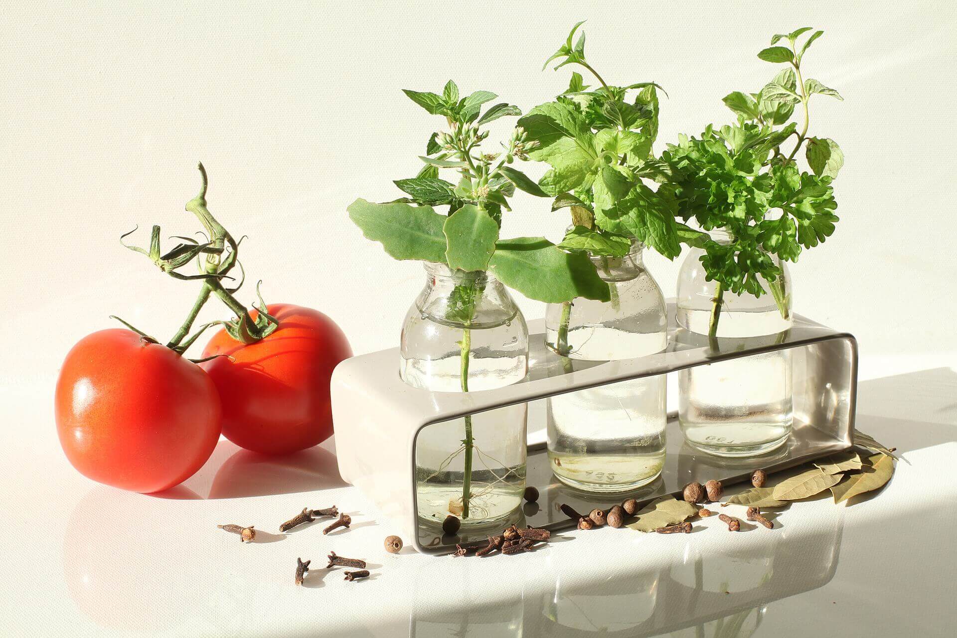 Tomatoes plants in bottles of water