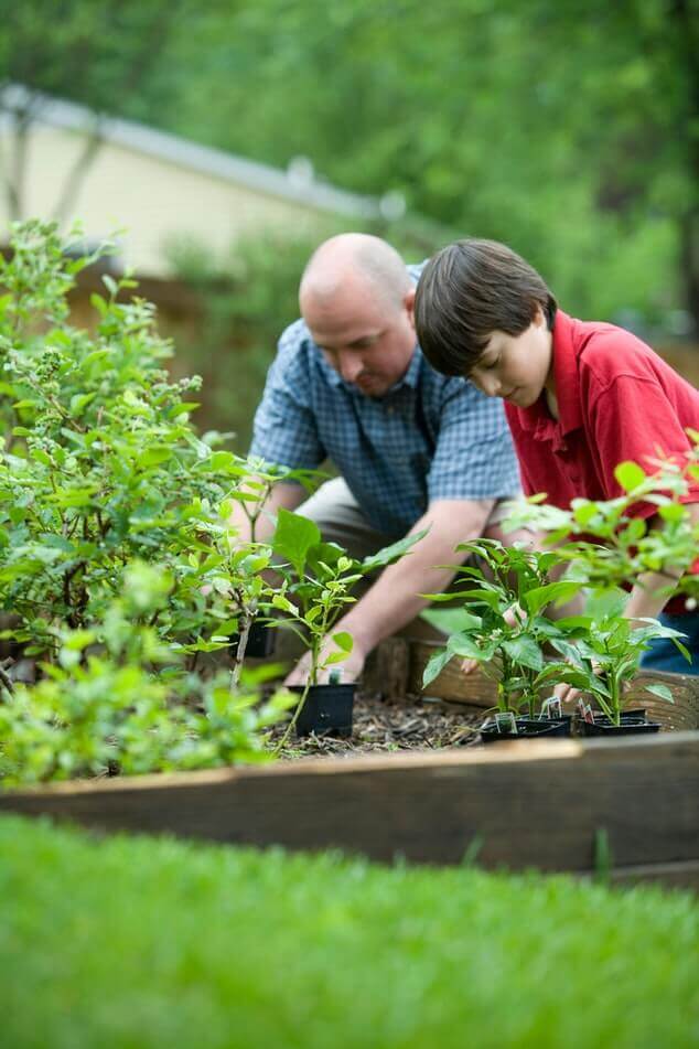 Father and son planting plants in the garden