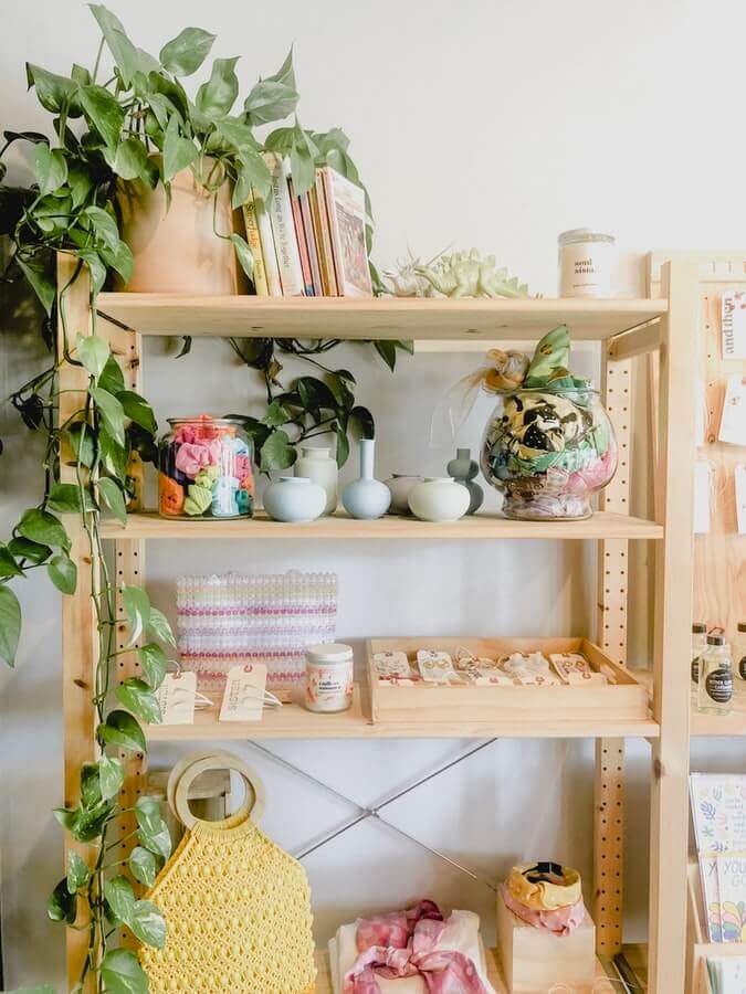 Shelf with books and plants on it